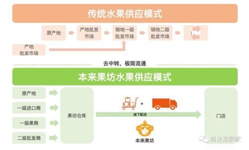 新鲜水果配送行业动态：从传统到现代的新旅程